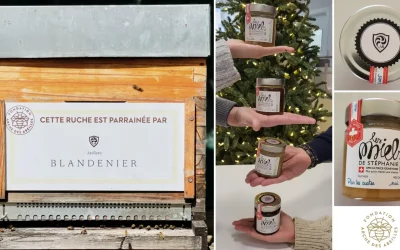 Engagement : Fondation Arche des Abeilles