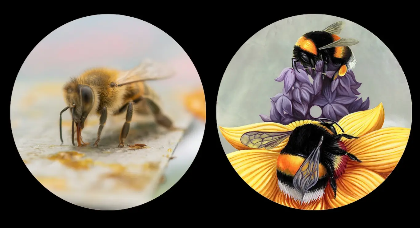 Filleuls et métiers d'art Filleuls et métiers d'art avec l'Arche des Abeilles