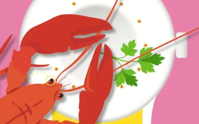 11_ »Si « PARVIS » nous était conté » – Quel Homard est-il ?